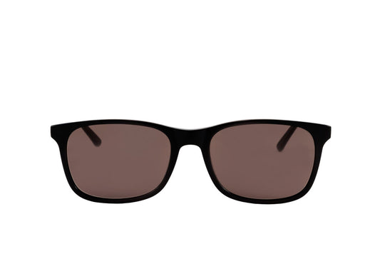 Smith Sunglasses (Brown)